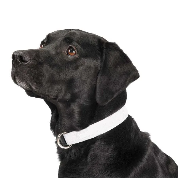 1" Full Color Wide Adjustable Pet Collars (Q886711)
