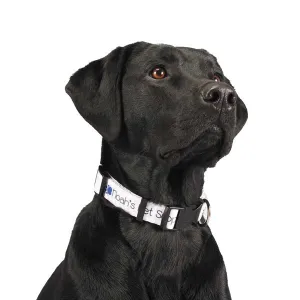 1" Full Color Wide Adjustable Pet Collars (Q886711)
