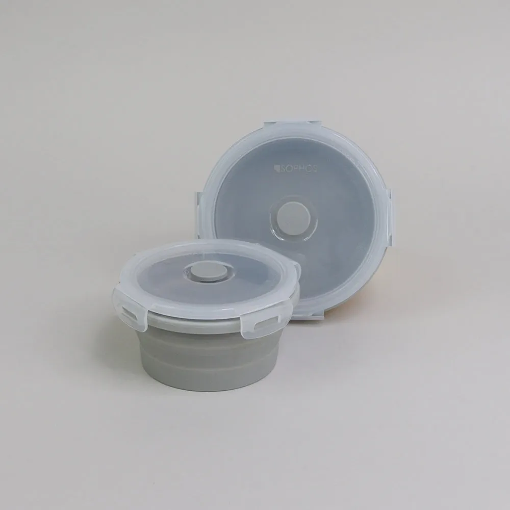 2 Piece Small Collapsible Bowl Set