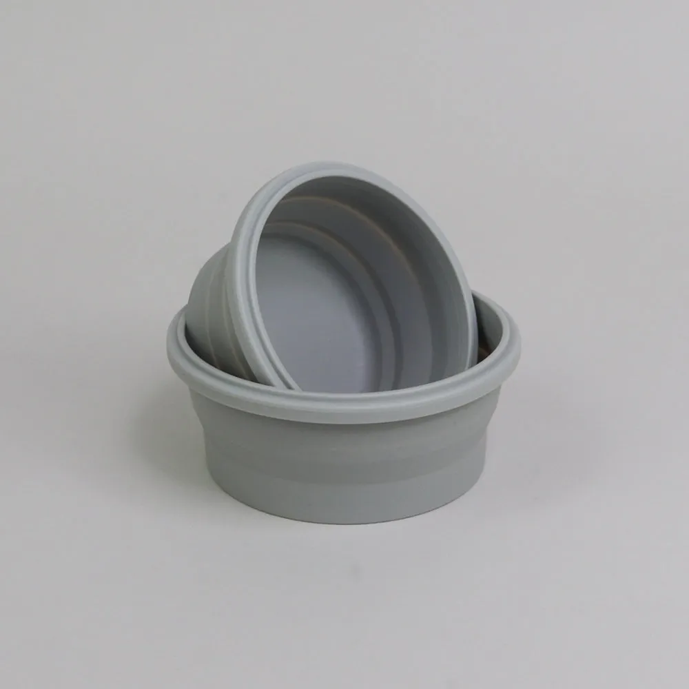2 Piece Small Collapsible Bowl Set