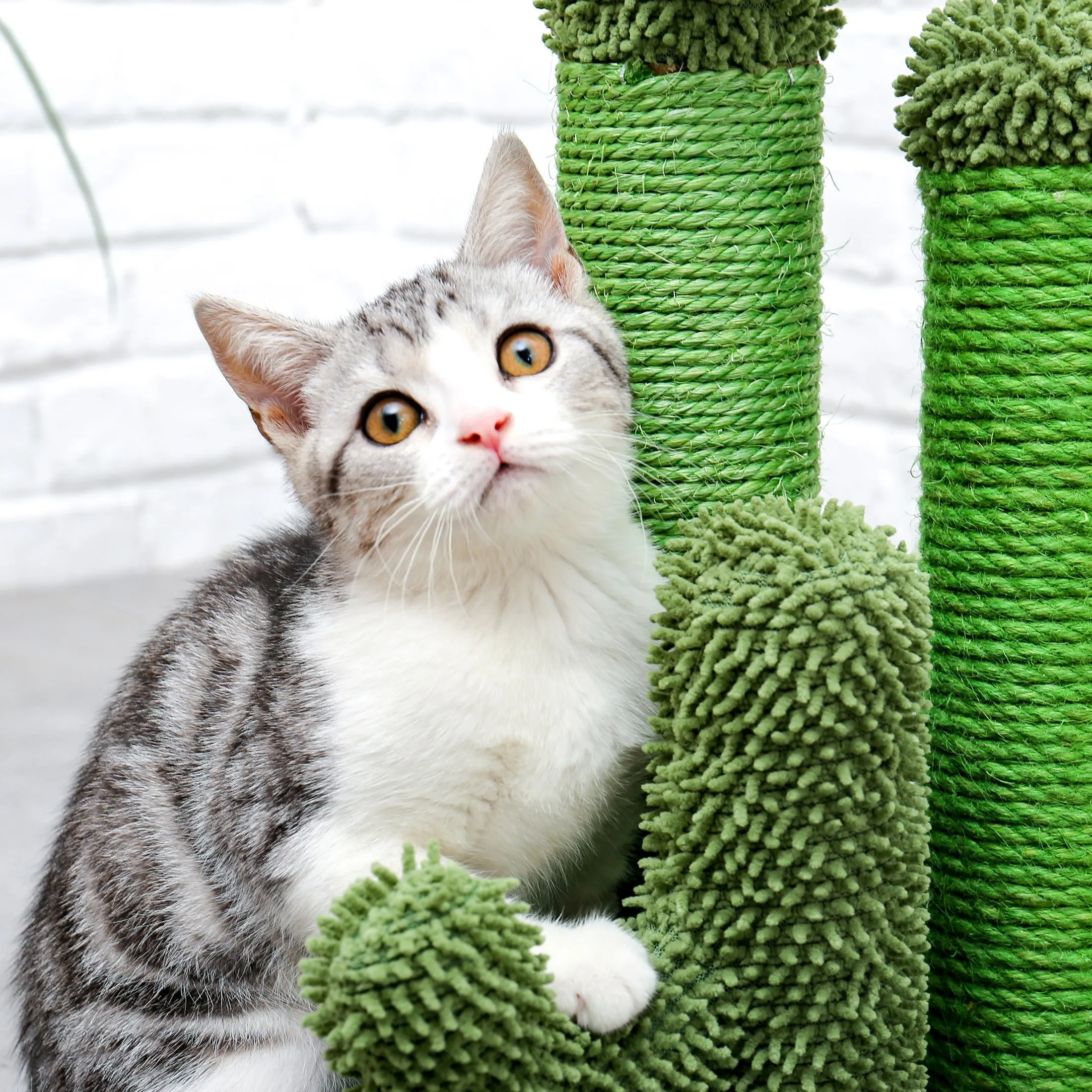23" Cactus Cat Scratching Post