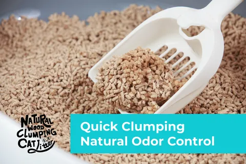 Cature Natural Wood Clumping Odor Control Plus Cat Litter