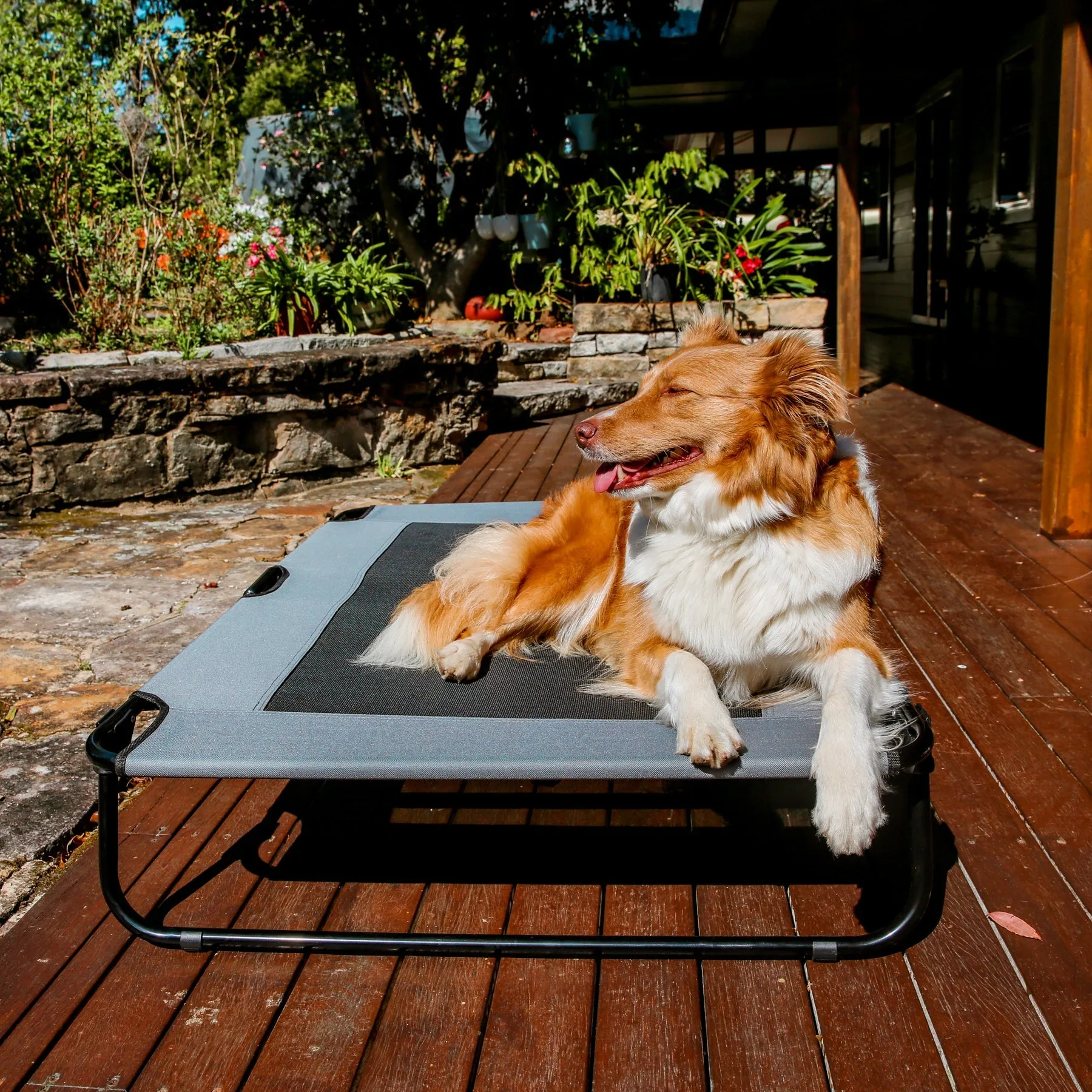 Charlie's Adventure Foldable Travel Trampoline Dog Bed 120x80x22cm X-Large Grey