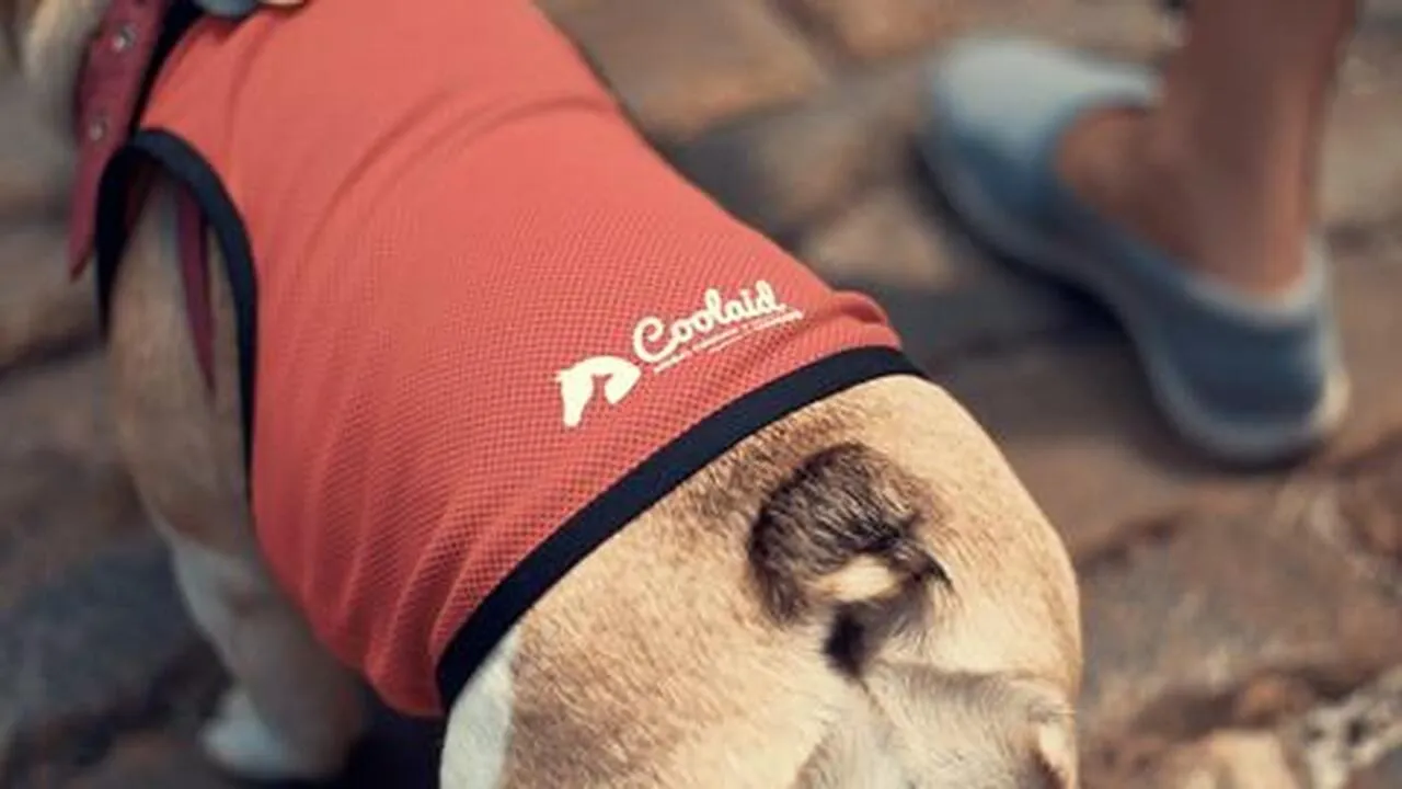 Coolaid Canine Cooling Vest SALE