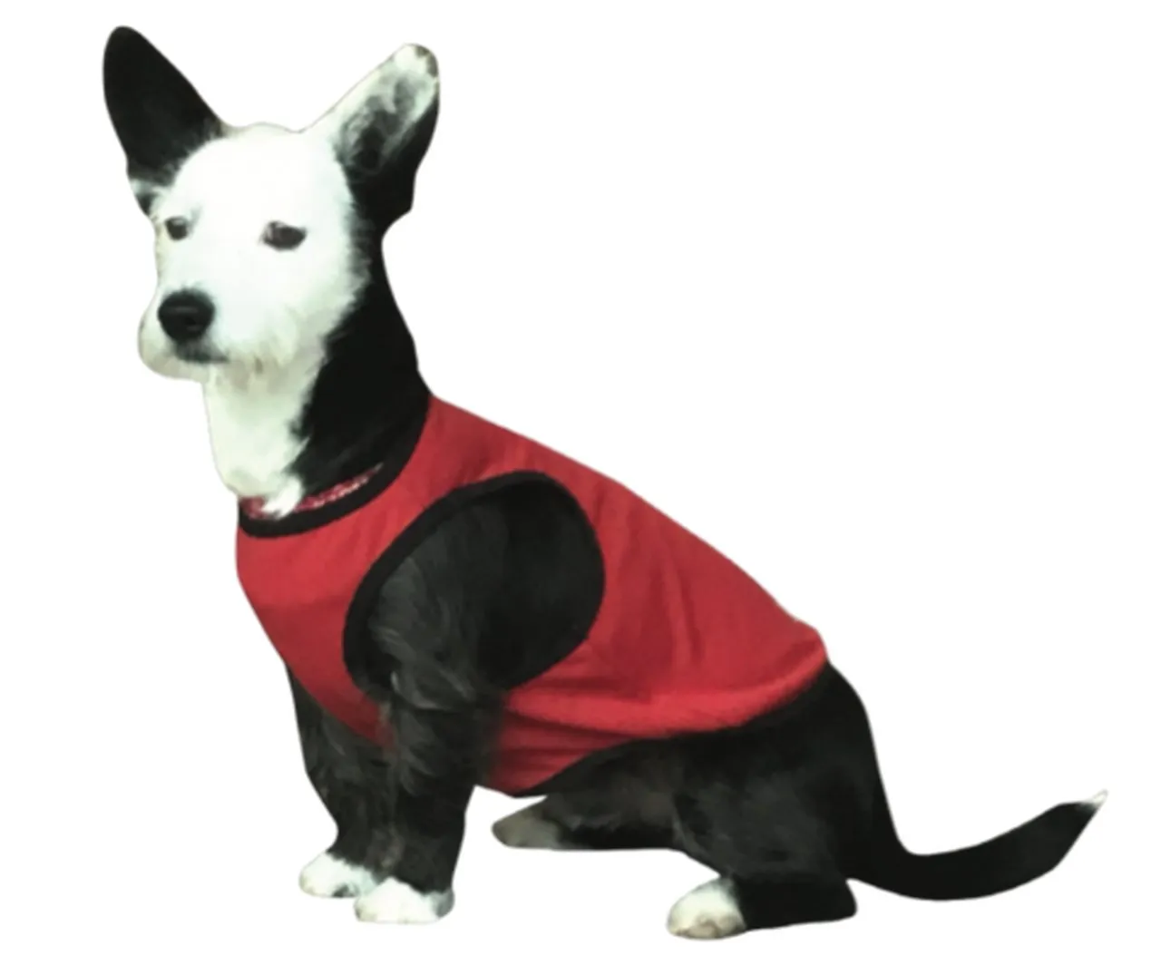 Coolaid Canine Cooling Vest SALE