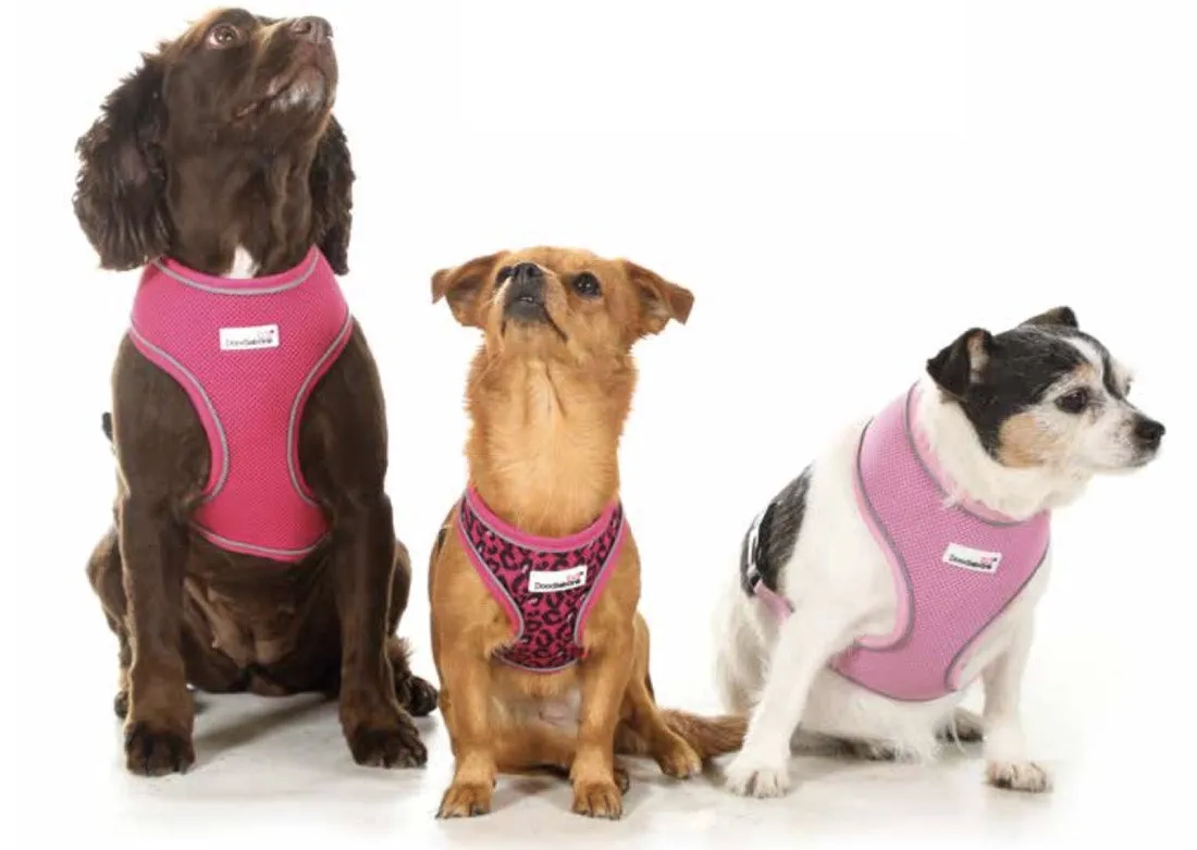 Doodlebone Airmesh Dog Harness - Aqua Blue