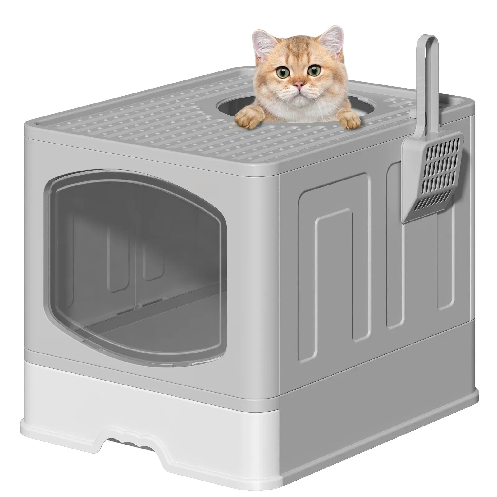Extra Large Foldable Cat Litter Box - Meet Litter Buddy! 🐱🧼