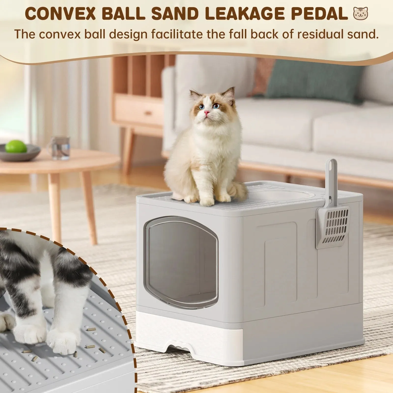 Extra Large Foldable Cat Litter Box - Meet Litter Buddy! 🐱🧼