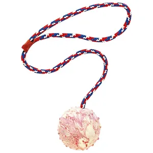 Ferplast 6532 Ball On Rope Dog Toy