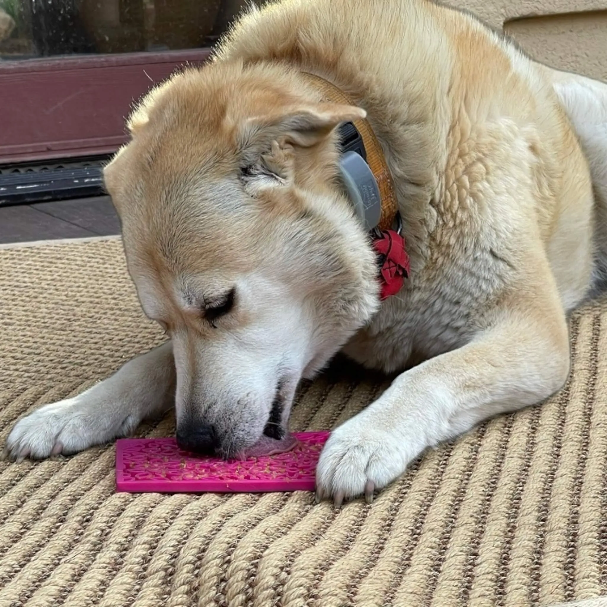 Flower Power Enrichment Licking Mat for Dogs