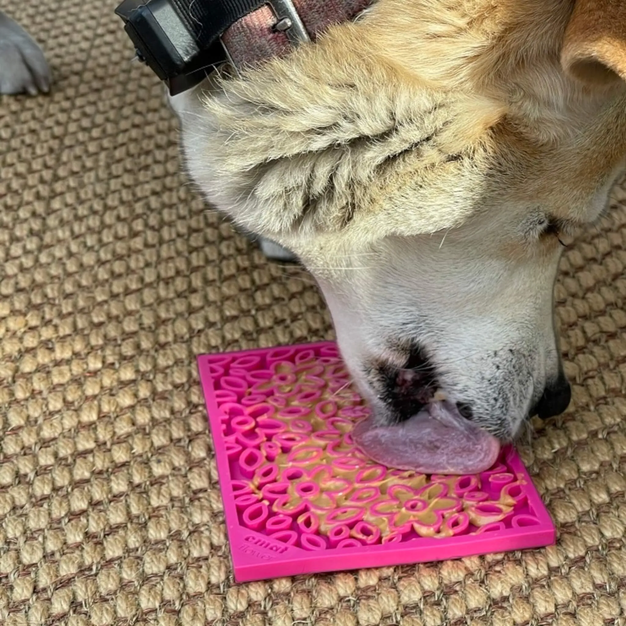 Flower Power Enrichment Licking Mat for Dogs