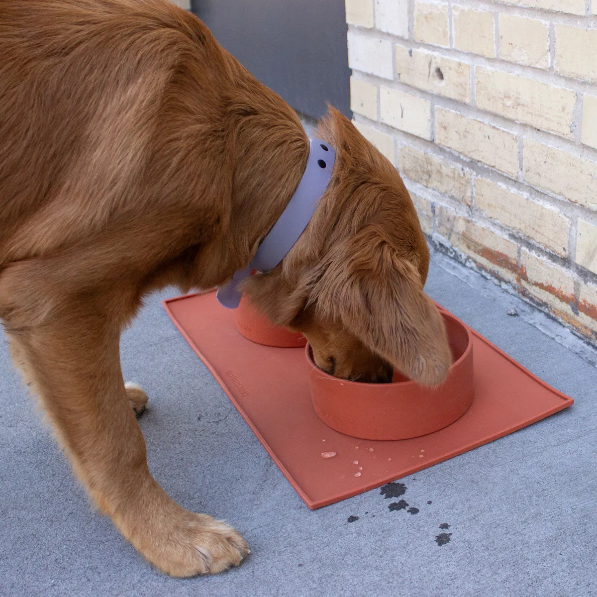 Food Grade Silicone Dog Bowl - Terracotta, 4.5 Cups Volume, Dishwasher Safe, Non-Slip