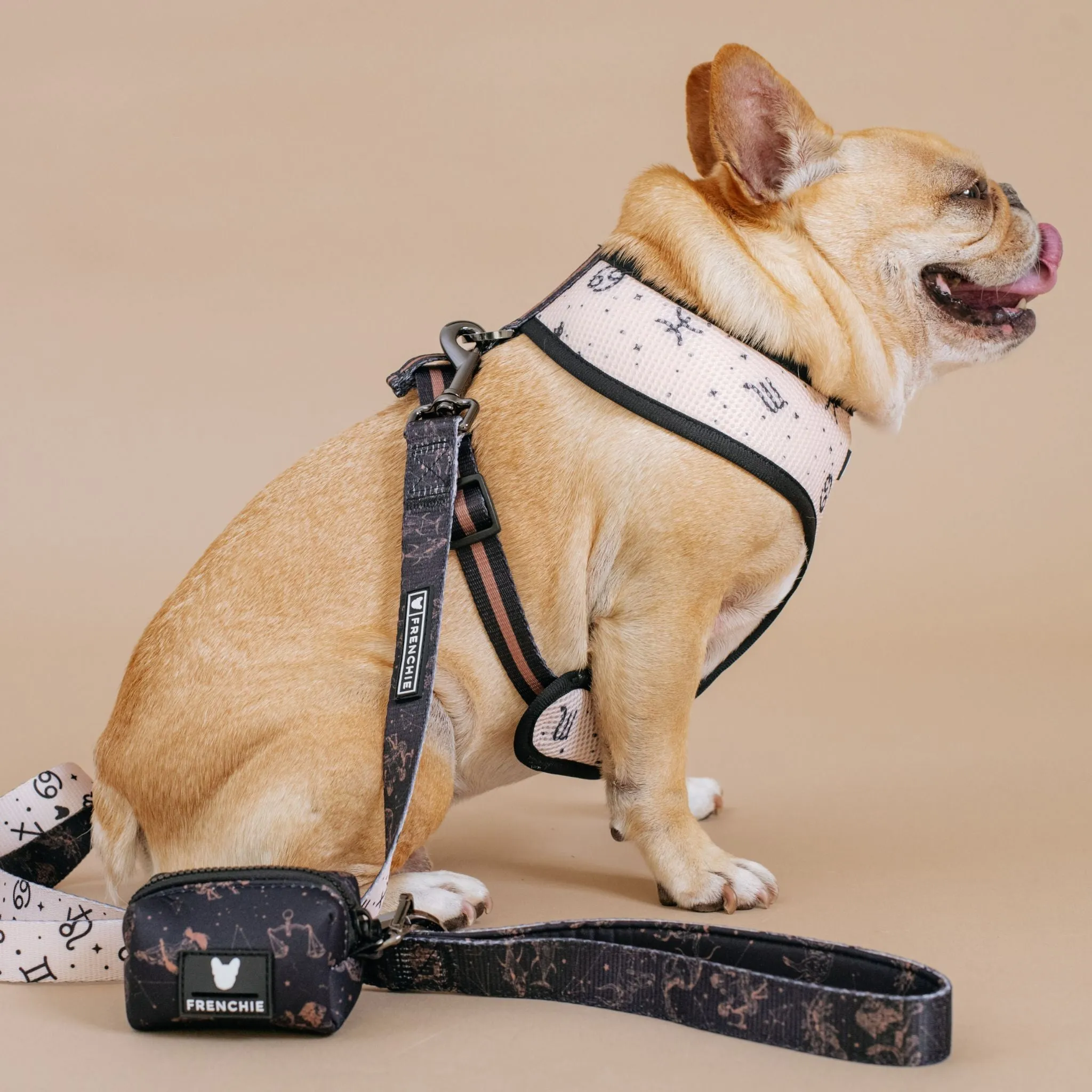 Frenchie Comfort Leash - Horoscope