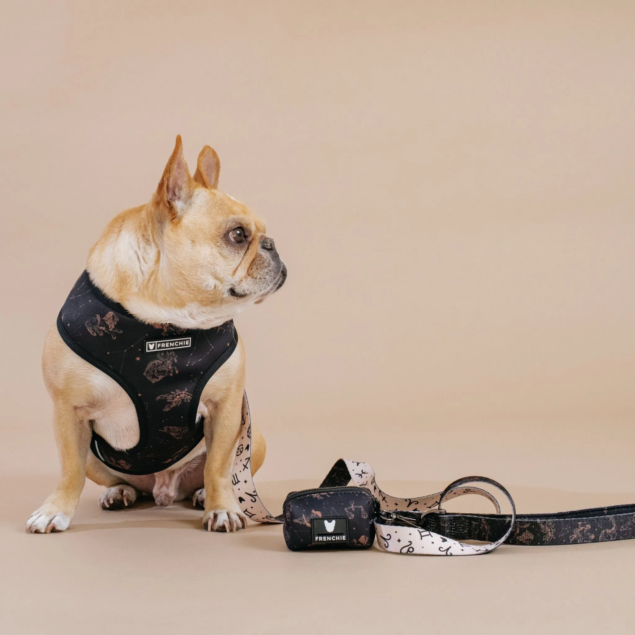 Frenchie Comfort Leash - Horoscope