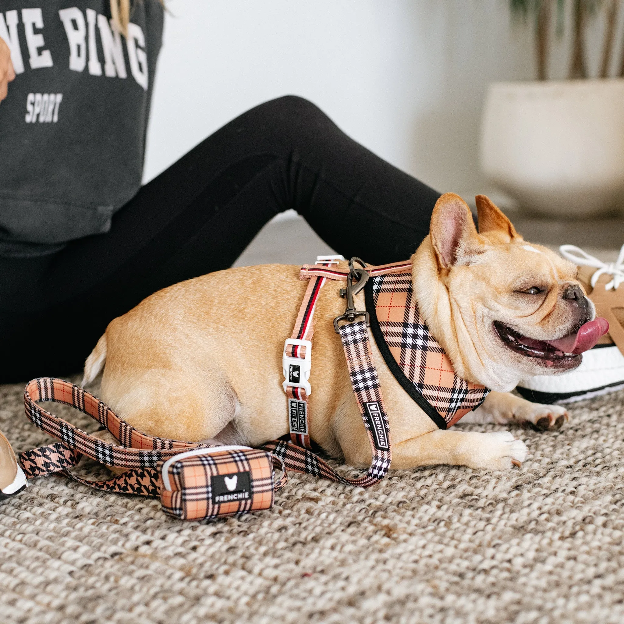 Frenchie Comfort Leash - Tan Tartan