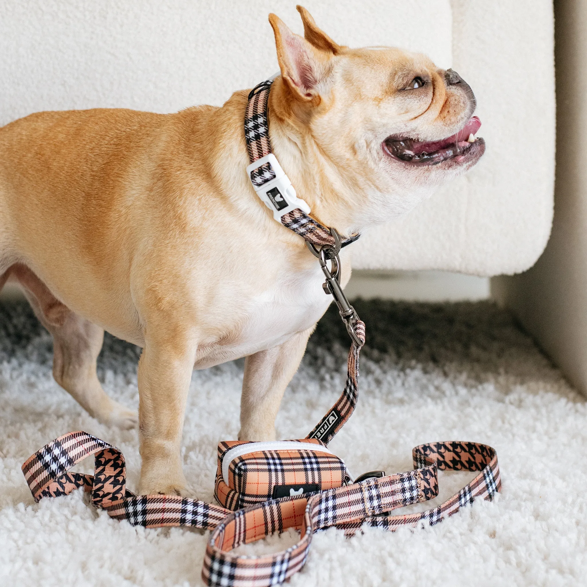 Frenchie Comfort Leash - Tan Tartan