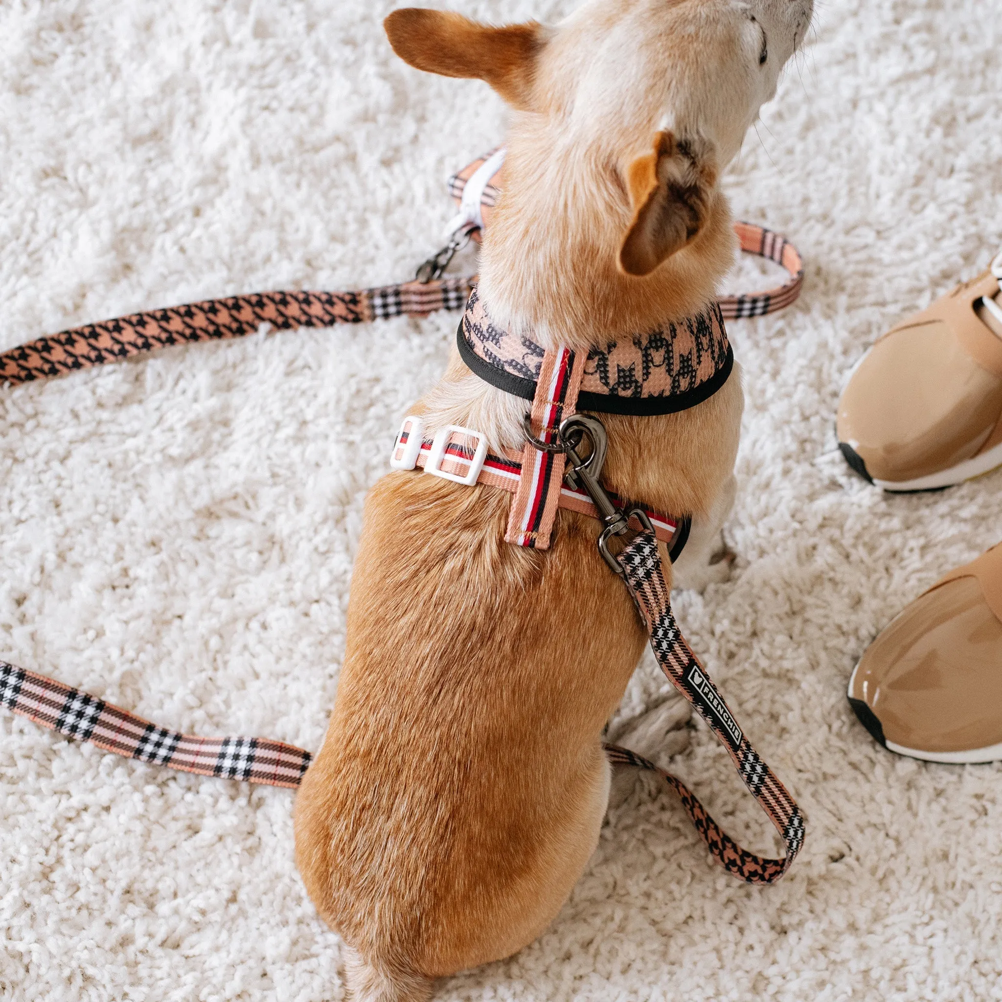 Frenchie Comfort Leash - Tan Tartan