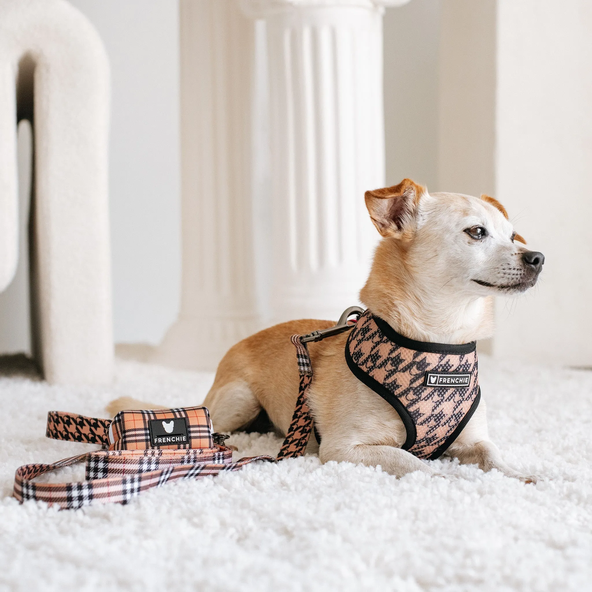 Frenchie Comfort Leash - Tan Tartan