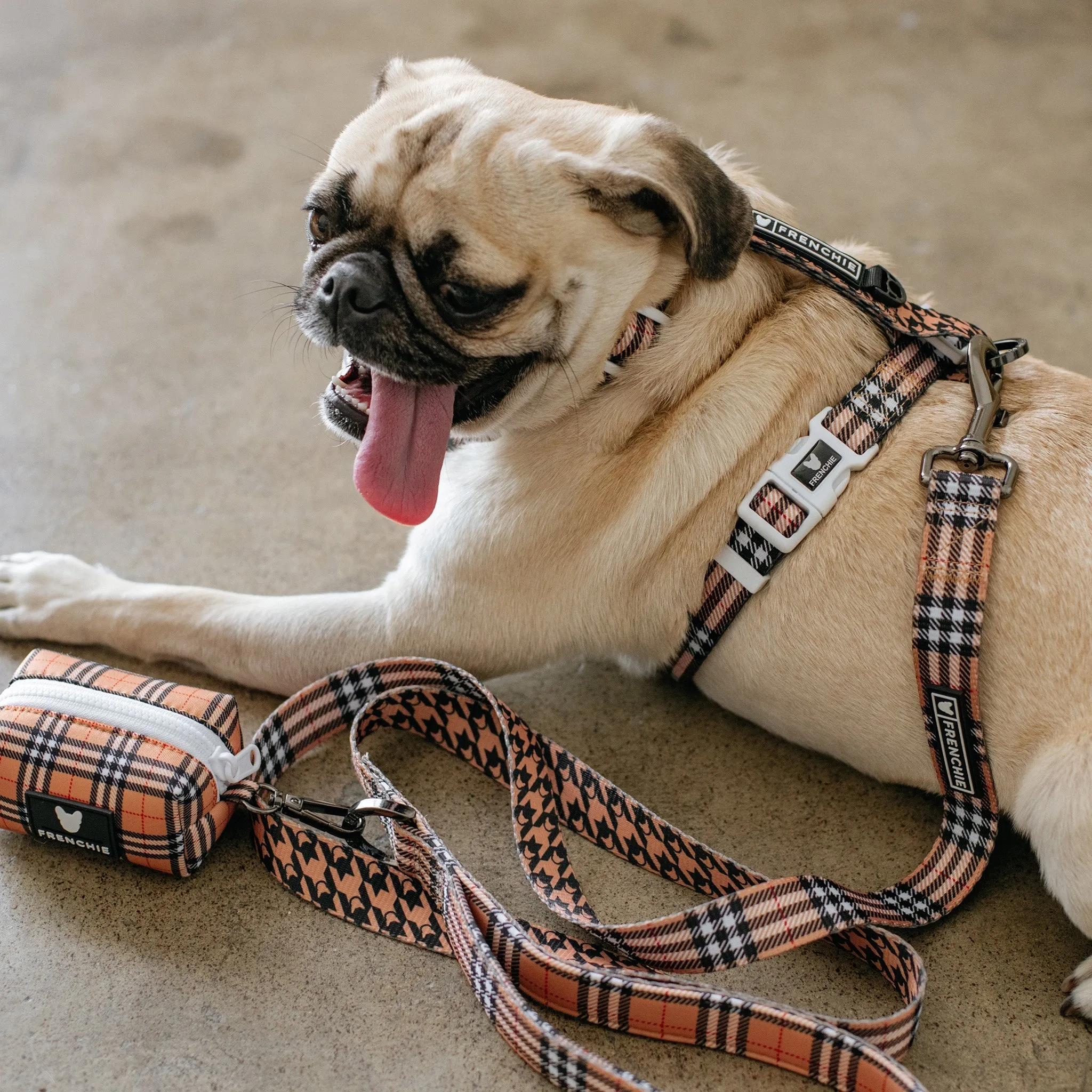 Frenchie Comfort Leash - Tan Tartan