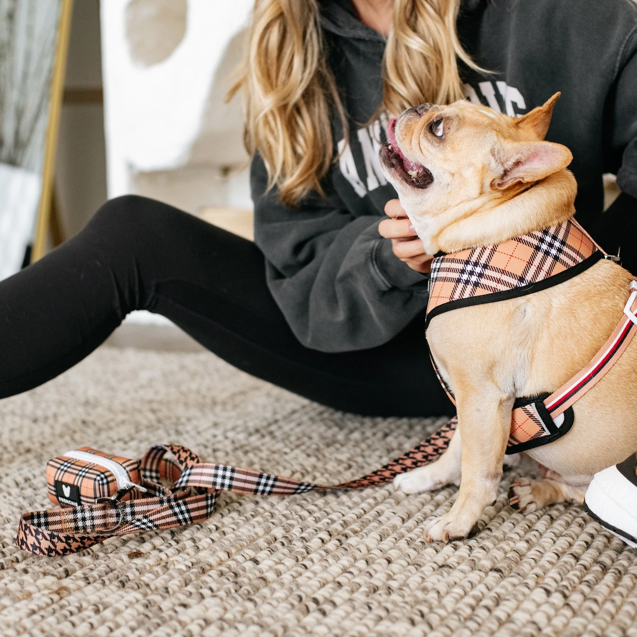 Frenchie Comfort Leash - Tan Tartan