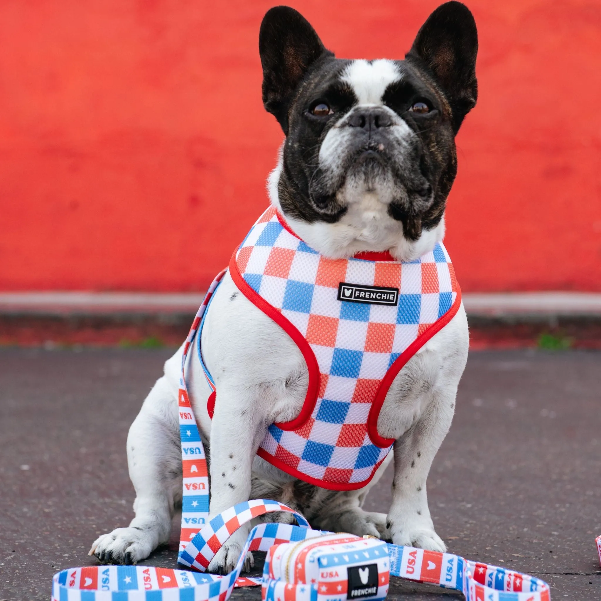 Frenchie Comfort Leash - USA