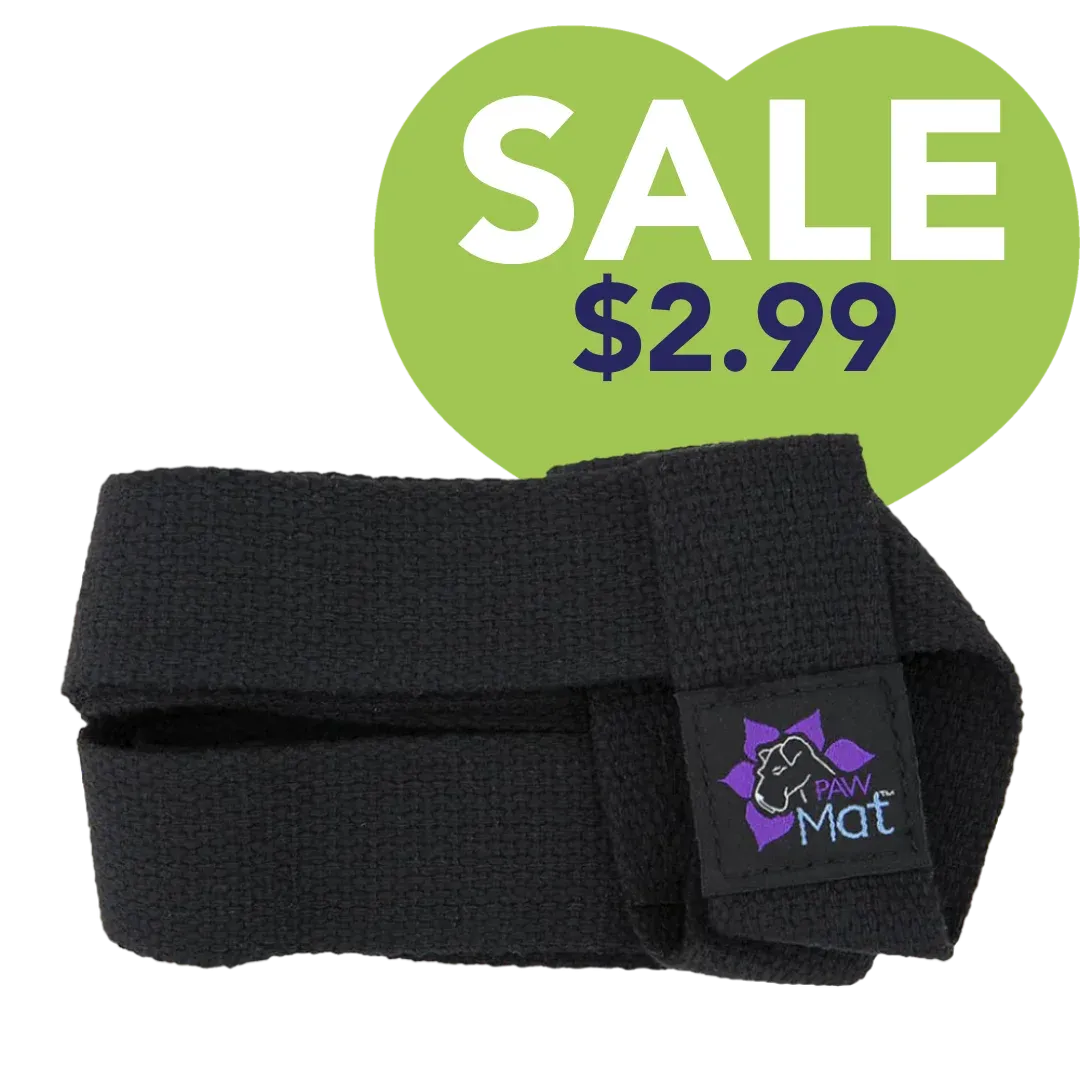 Mat Strap by PawMat