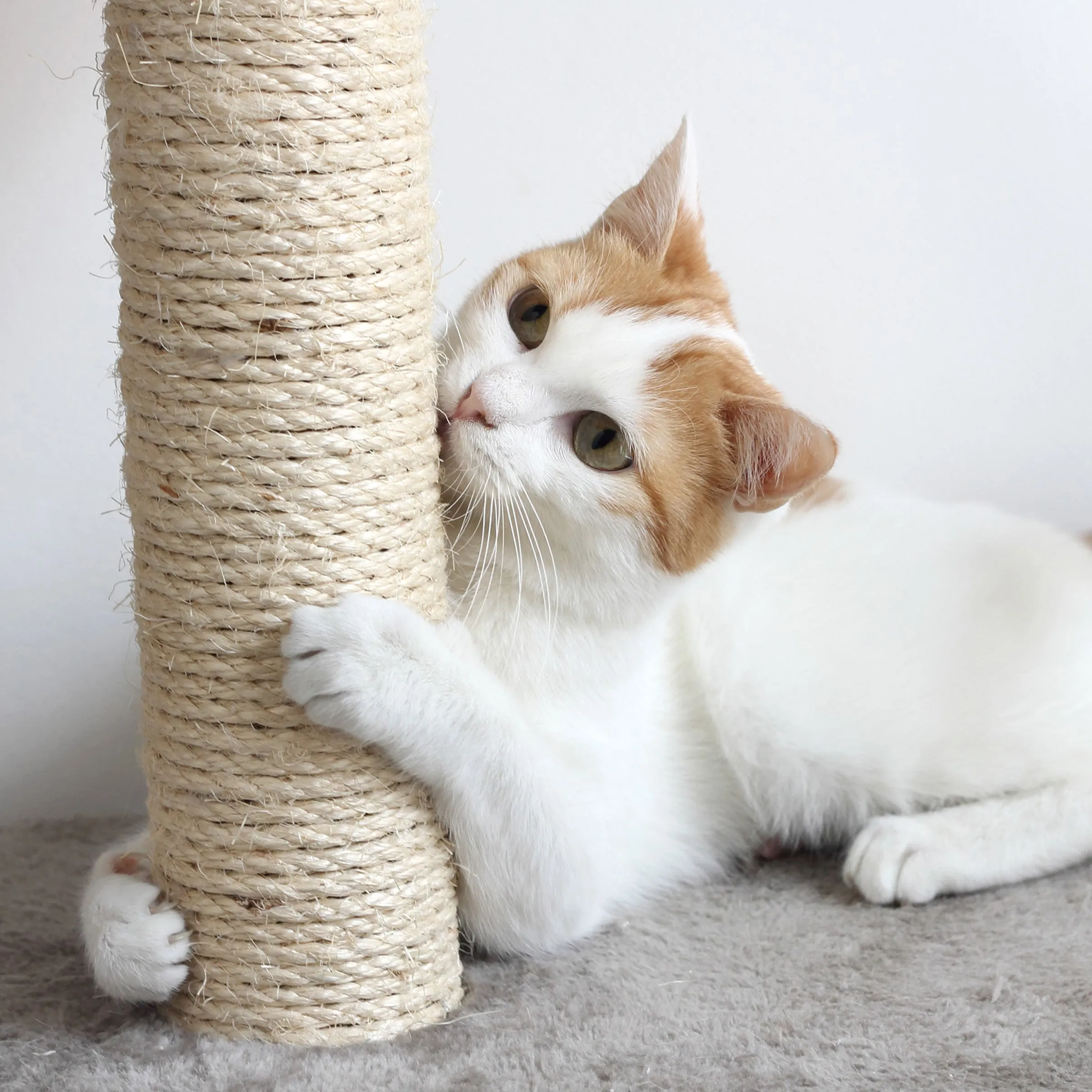 Pet Adobe 5.5FT Cat Tree with Scratch Posts, Beige