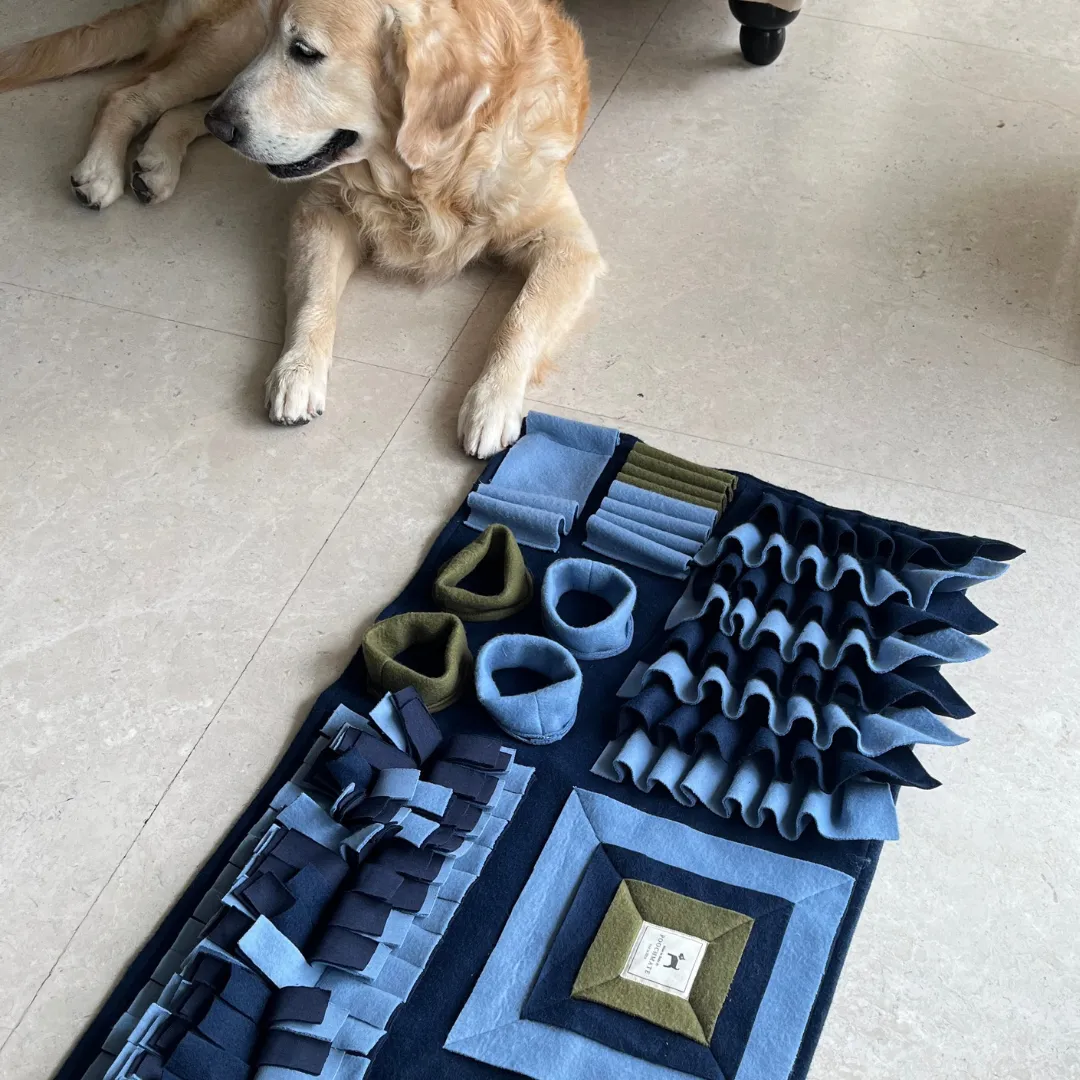 PoochMate What-The-Puzzle Snuffle Dog Mat - M/L 76 x 45 cms