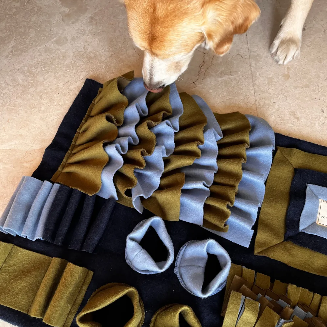 PoochMate What-The-Puzzle Snuffle Dog Mat - M/L 76 x 45 cms