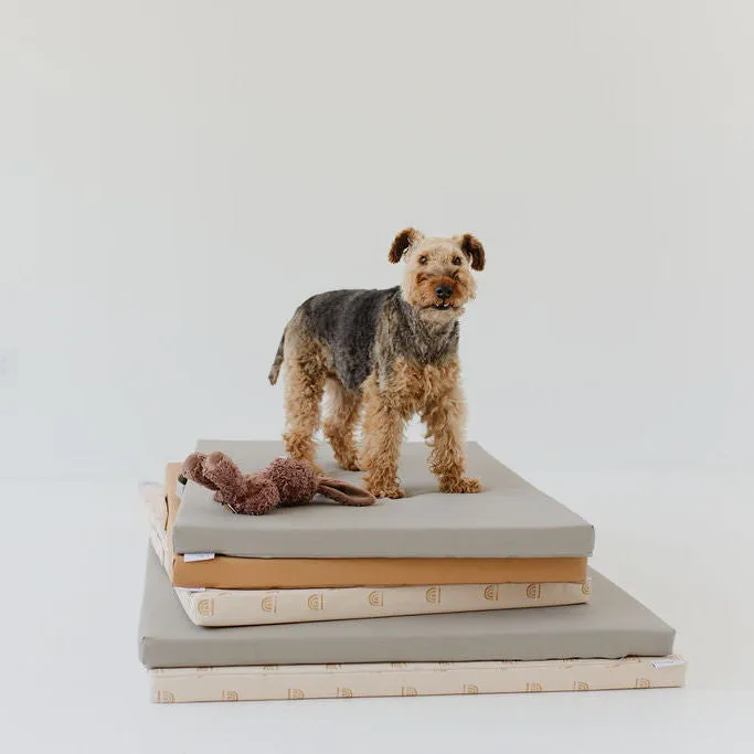Rainbow Stamp in Cream | Dog Bed Cover