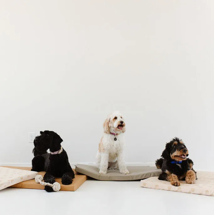 Rainbow Stamp in Cream | Dog Bed Cover