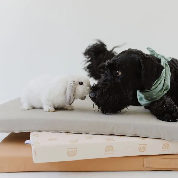 Rainbow Stamp in Cream | Dog Bed Cover