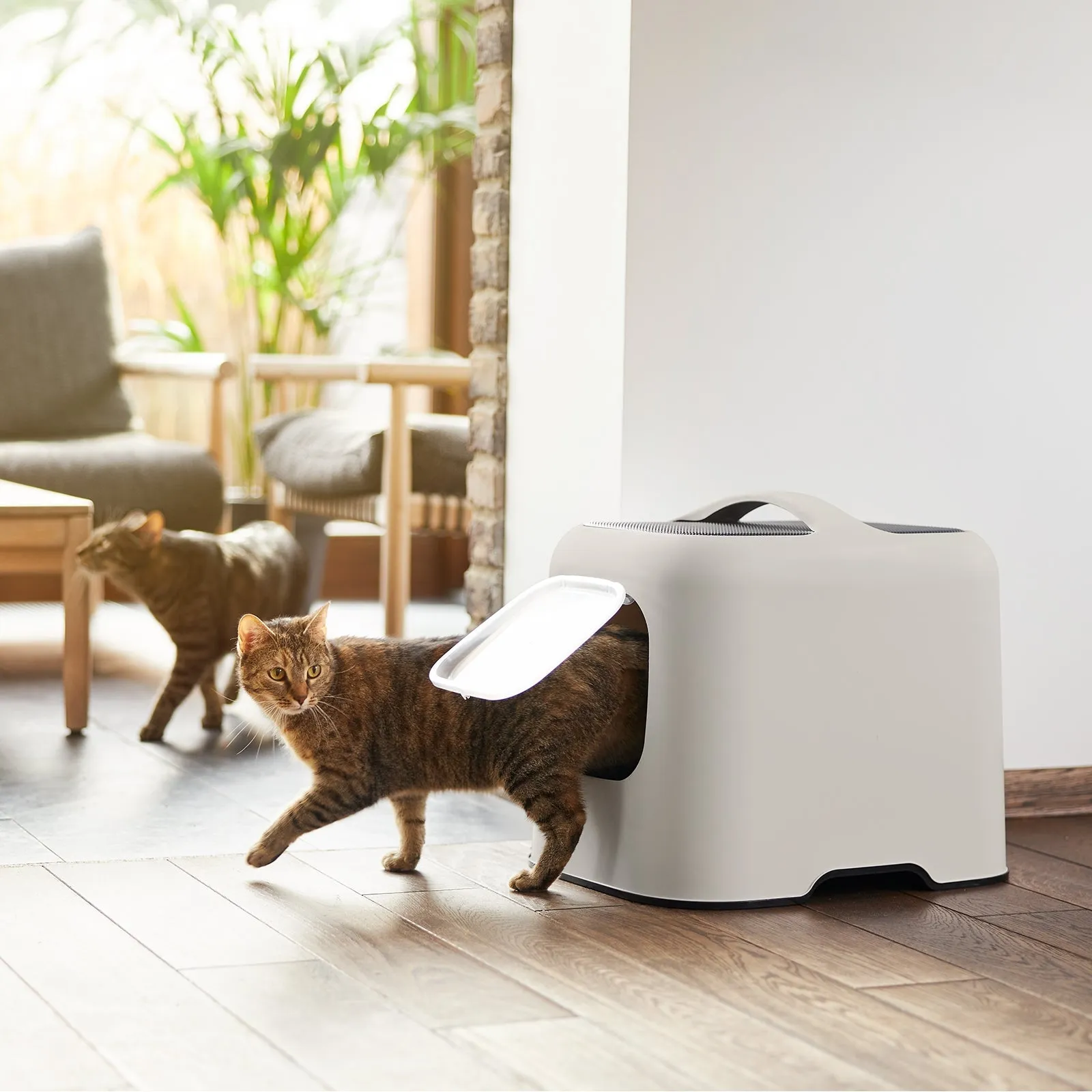 Rotho - BIALA litter box incl. hood   scoop (4005207422) - Cappuccino