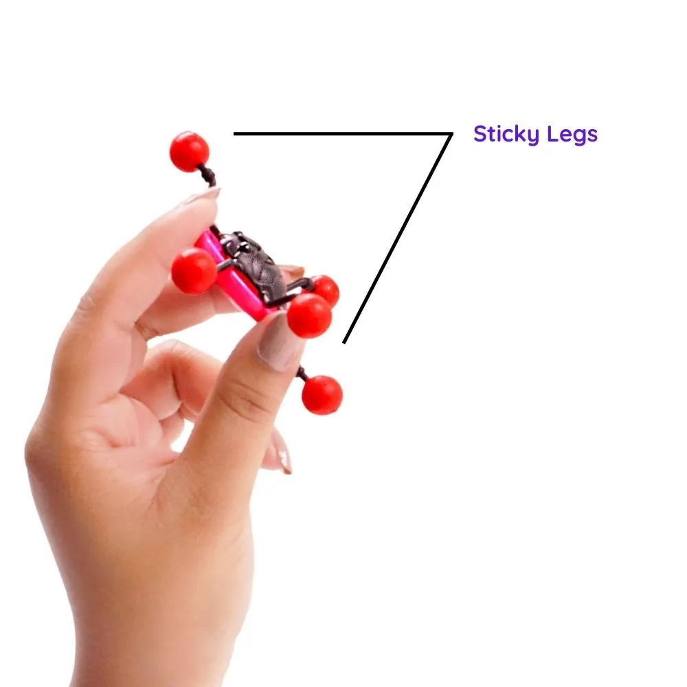 Scoobies Gooey Crawling Spider Fun  MAXX