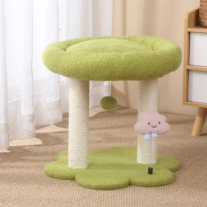 Whisker Haven Bundle
